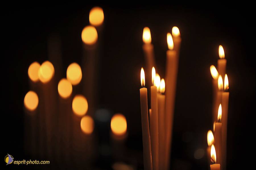 Nom de l'image : D30033482_1_(c)Norbert-JUNG — Description :